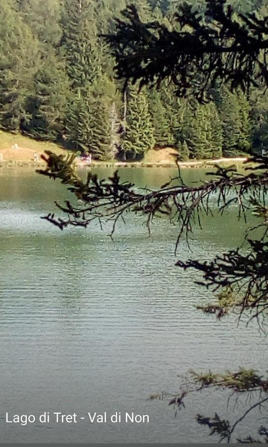 Appartamento Casa Berto e Costantina CIPAT 52085 Tregiovo Esterno foto